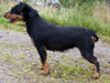 sanna